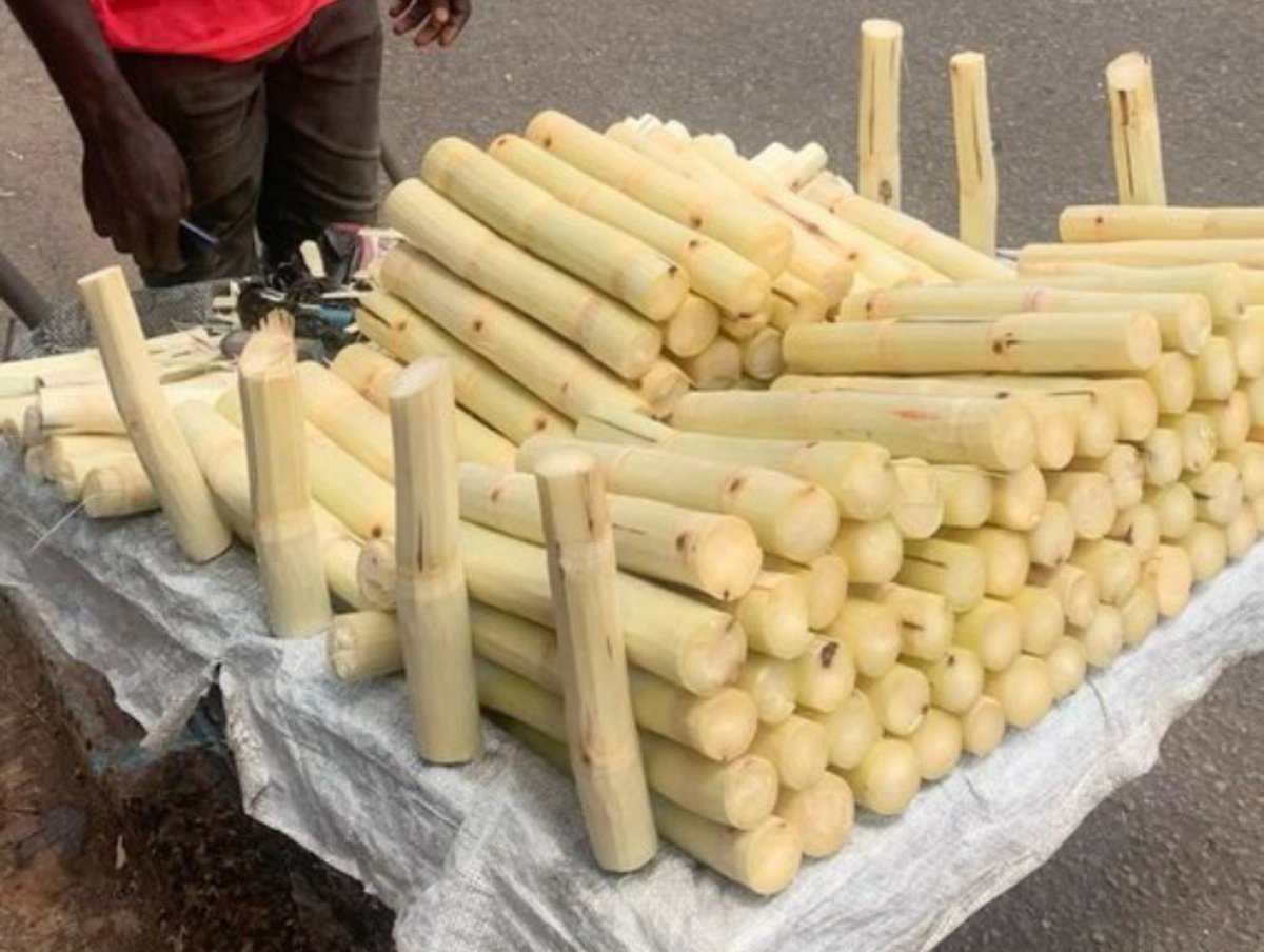 oluwamayowaa04's tweet photo. Can you eat sugarcane outside? https://t.co/KxWyGOJGMB