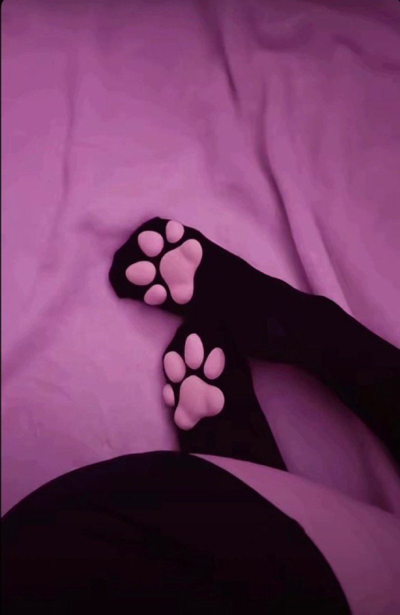 littlcuni's tweet photo. Purr https://t.co/UTkdndopCJ