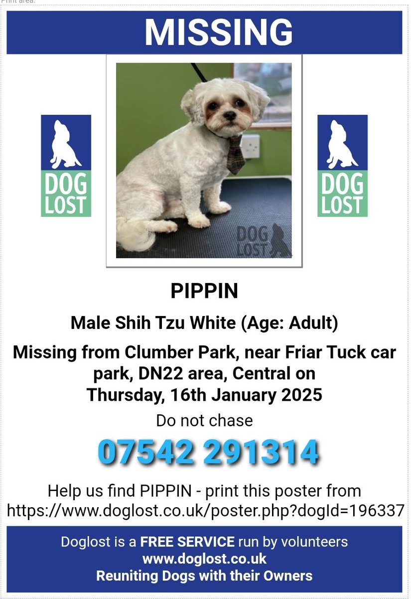 MissingPetsGB's tweet photo. Pippin is a 8 year old shih zu who went missing from home in woodland between APLEYHEAD WOOD &amp; CLUMBER PARK near Friar Tuck cafe Babworth #DN22 Was later hit by a car on the A1 but ran off &amp; no further sightings. Neutered &amp; chipped. Any sightings/info please call #stolendoghour https://t.co/TdjyyXiuUd