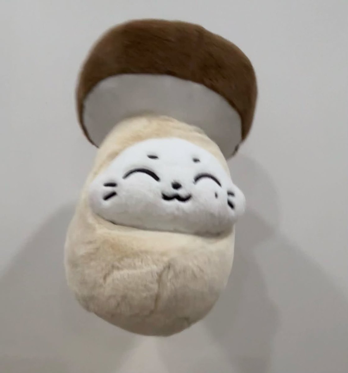 msundeayy's tweet photo. 키슈 이렇게 귀 가리면 ㅈㄴ웃기고 귀엽게생김 🤣🤣🤣🤣 https://t.co/GjR48VKPgH