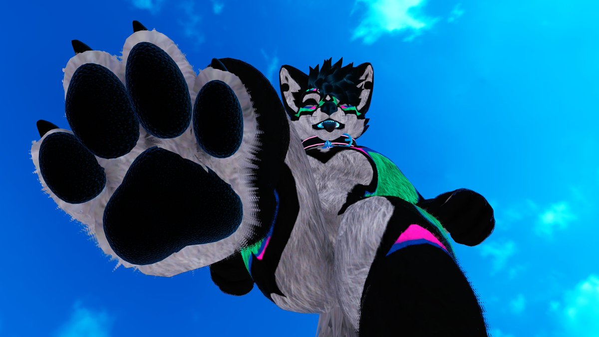 FluffyBoiPaw's tweet photo. @NikkoTheMutt https://t.co/ierWPoWthU