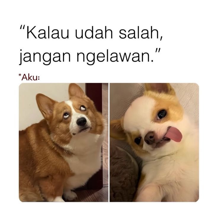 bongiening's tweet photo. aku mah bodo amat 😛 https://t.co/XZp7g1lVC4