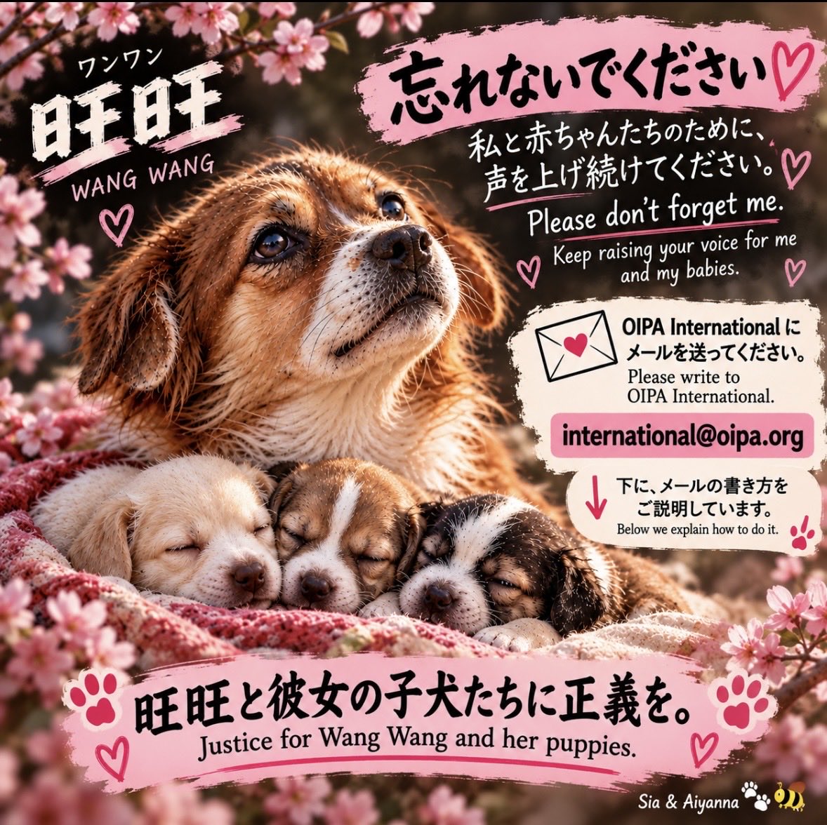 SiaxAiyanna's tweet photo. 旺旺と赤ちゃんたちのために、今日できることがあります。

国際動物保護機構 OIPA は、旺旺と赤ちゃんたちの事件について、世界各地から100件を超える声を受け取りました。

そして、その声を受けて、OIPA は中国の関係当局および中国大使館に正式な書面を送り、この事件への対応と説明、責任の明確化、そして動物たちへのより強い法的保護を求めました。

だから、私たちも今日、OIPA にメールを送りました。

次は、あなたの声も届けてください。

📩 international@oipa.org

「たった一通のメールでは何も変わらない」と思わないでください。

一匹の蜂は小さくても、何千匹もの蜂が集まれば、その羽音を無視することはできません。🐝

旺旺と赤ちゃんたちを忘れさせないために。
そして、次の犠牲を生まないために。

私たちは声を上げ続けます。

#旺旺と赤ちゃんたちに正義を
#動物虐待反対

Sia & Aiyanna 🐾🐝