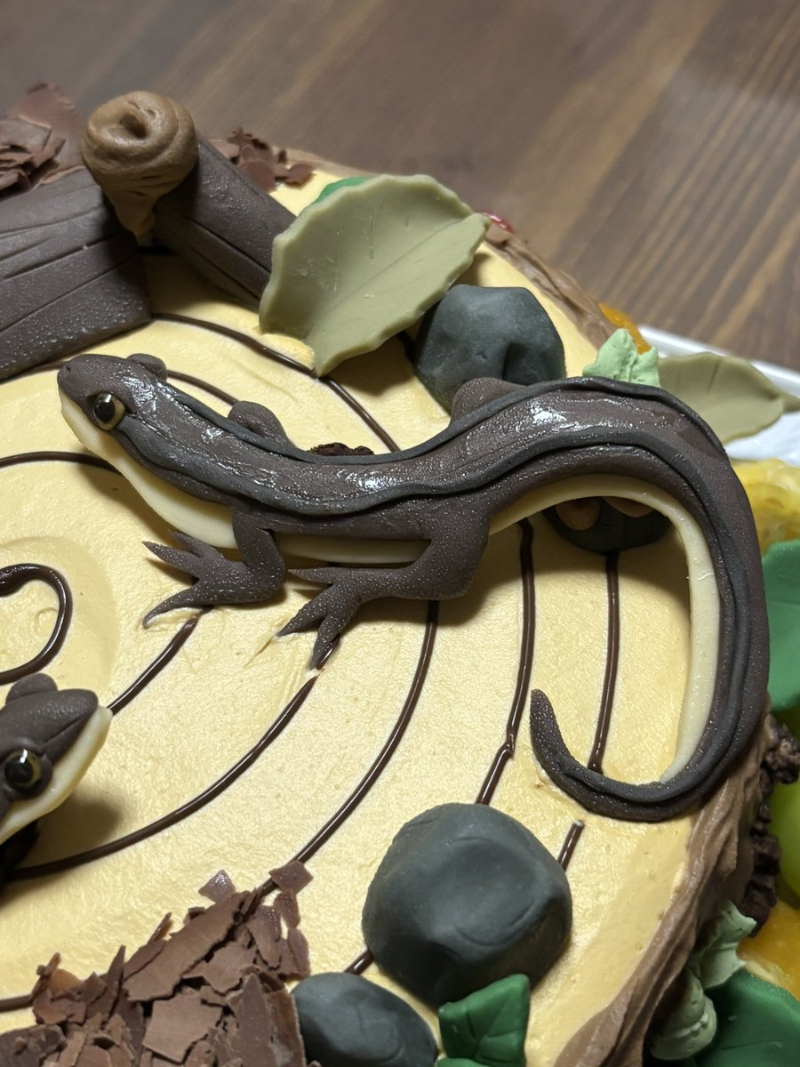 reptilelife27's tweet photo. 今日は誕生日でして…家族にお祝いしてもらいました🤗

んで、めっち��ビックリしたのがケーキ‼️🎂✨

私の好みに合わせてカナヘビをメインにしたオーダーメイドケーキ😳

これを作るお店（Le Lis）もすげー🦎✨

家族や皆様からの祝福も頂き幸せな1日でした‼️
みんなありがとう🙇‍♂️🙇‍♂️🙇‍♂️

#Lelis https://t.co/TGvlGcrgK9