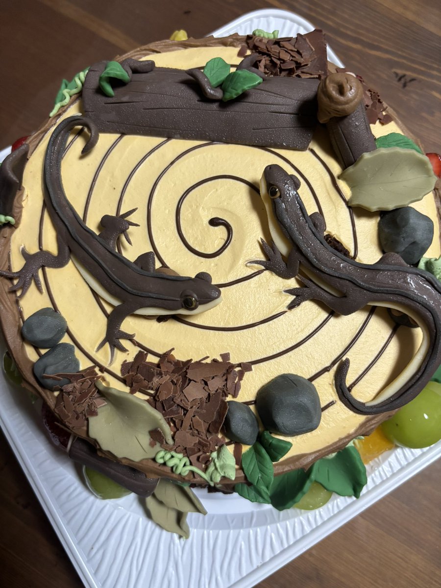 reptilelife27's tweet photo. 今日は誕生日でして…家族にお祝いしてもらいました🤗

んで、めっち��ビックリしたのがケーキ‼️🎂✨

私の好みに合わせてカナヘビをメインにしたオーダーメイドケーキ😳

これを作るお店（Le Lis）もすげー🦎✨

家族や皆様からの祝福も頂き幸せな1日でした‼️
みんなありがとう🙇‍♂️🙇‍♂️🙇‍♂️

#Lelis https://t.co/TGvlGcrgK9