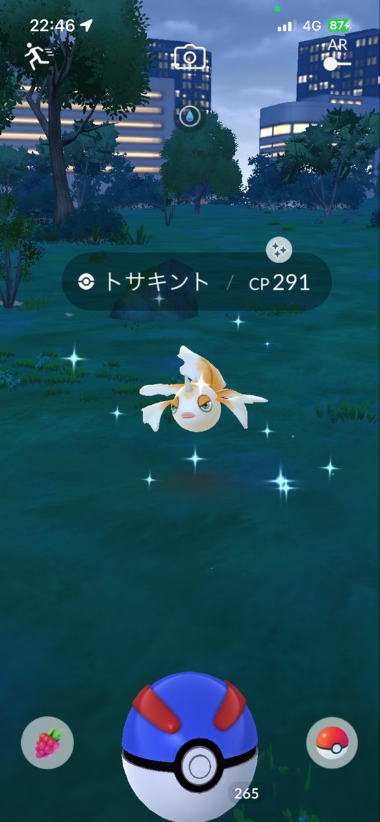 subtitle_Sharon's tweet photo. 2連続で色違い
びっくりして
プゥ出たかもしれん🤣
トサキント
お初にお目にかかります✨✨

#ポケモンGO
#色違い好きすぎて滅 https://t.co/0ZQsZ7vVnB
