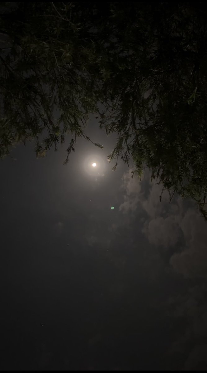 Udyanamm's tweet photo. Daydreams in the clouds, midnight whispers in the dark. https://t.co/tRcSo7G2qi