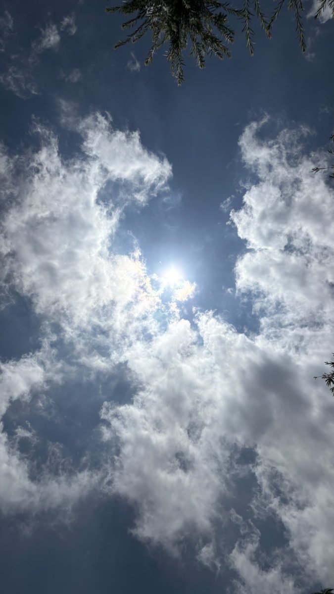 Udyanamm's tweet photo. Daydreams in the clouds, midnight whispers in the dark. https://t.co/tRcSo7G2qi