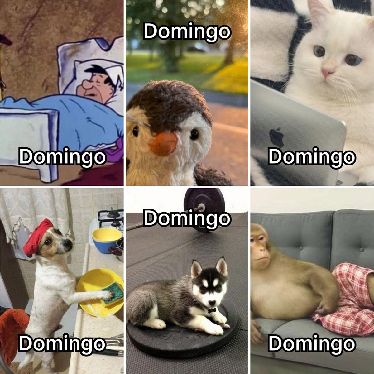 Guarromantico_'s tweet photo. Domingo. https://t.co/tJRsYnAi1X
