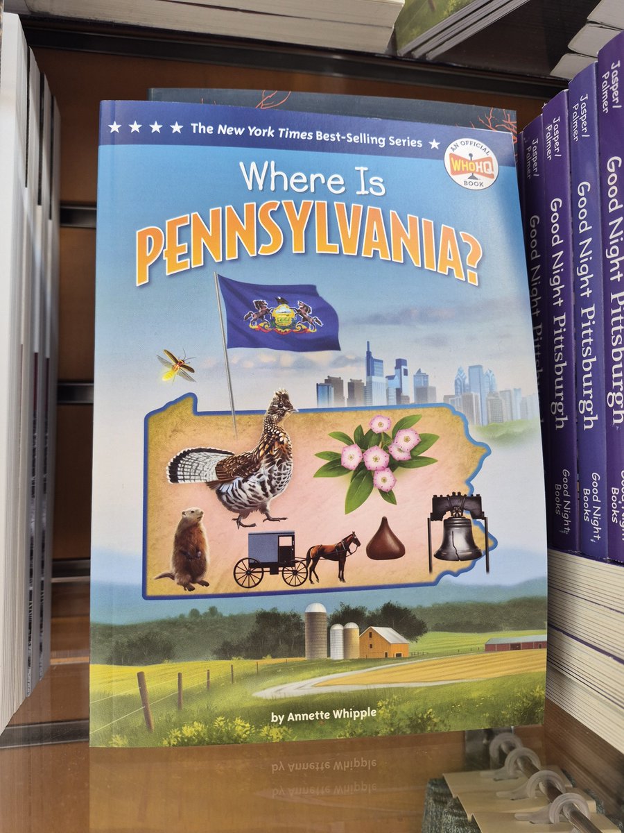 CosmicCapuchin's tweet photo. The book you see your pilot reading before going on a flight to Pittsburgh. https://t.co/ocrwuZ3uL8