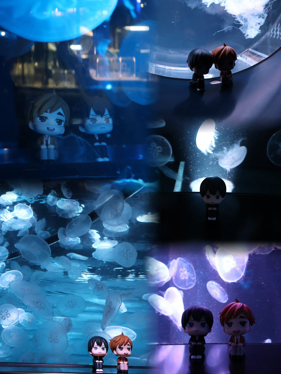 1222_9t's tweet photo. ²⁰²⁶ ⁰⁹¹²
宮さんと水族館デート🦭⟡
飛雄全部ムスッてしてるけど宮さん笑顔でひたすら話しかけてくれてるみたいでかわいいㅠ  ̫ㅠ💞 https://t.co/AEInG80gtz