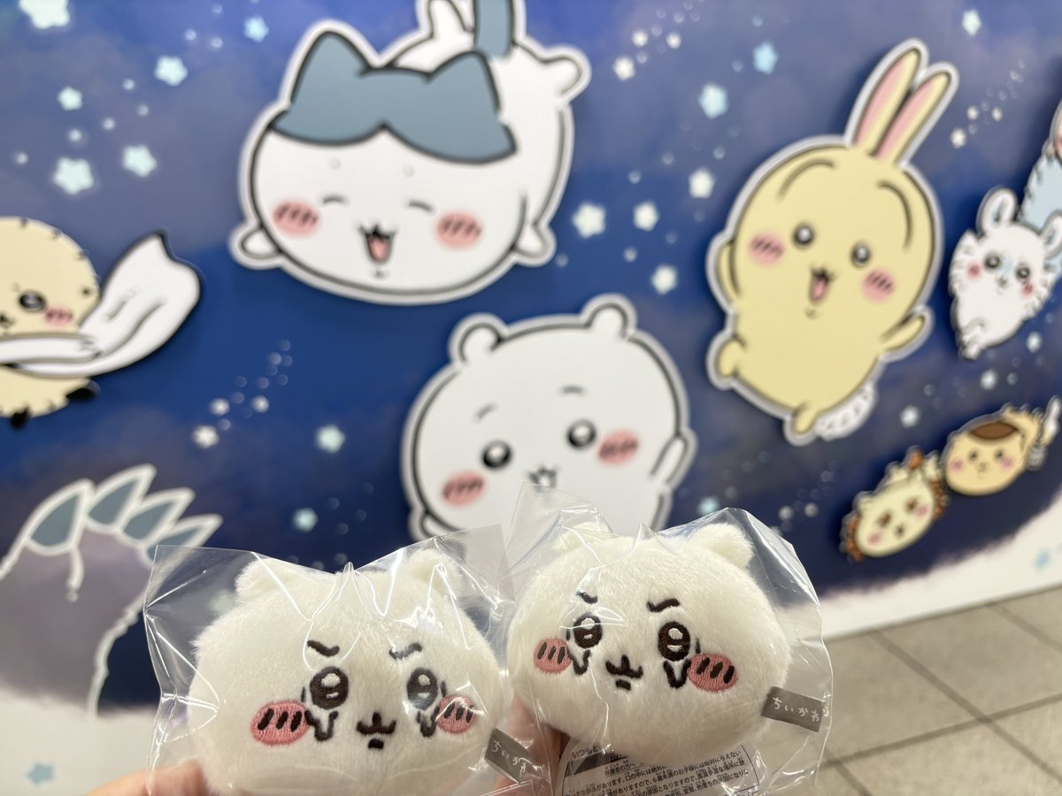 x96to46x's tweet photo. 昨日友人からさかたんが買ったちいかわ売ってたって教えてもらって当日チケットチャレンジしたら奇跡的に取れた！スピード感と言霊の力すごい！大きいぬいは流石に買わなかったけど泣き顔ちぃお揃いの手に入ってめっちゃ嬉しい！教えてくれた友人の分も買えて会ってご飯も食べれて最高だったぜ https://t.co/RGW9VVe6Fi