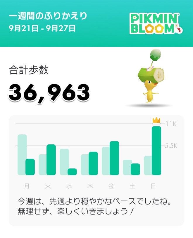 kobafield's tweet photo. #ピクミンブルーム https://t.co/Xq13RYWNZW