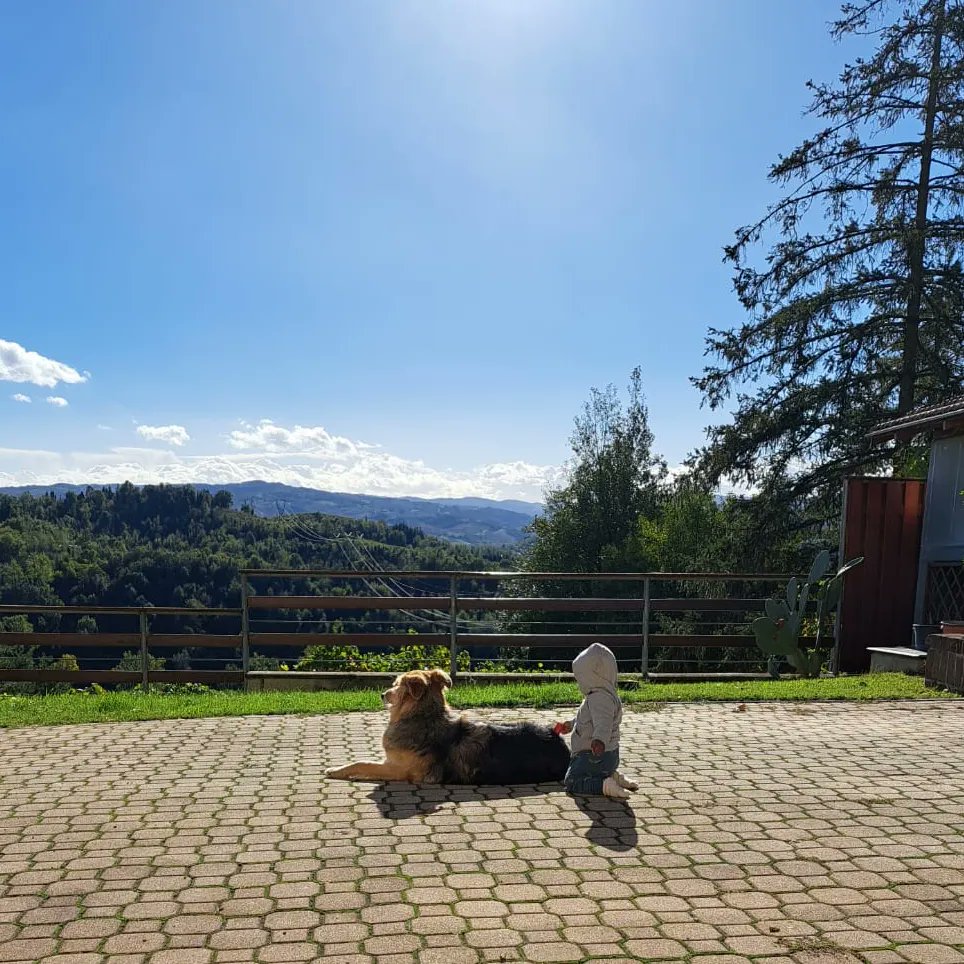 MarkusBrabant's tweet photo. Watching the clouds drift by together. https://t.co/Dbj23x04mv