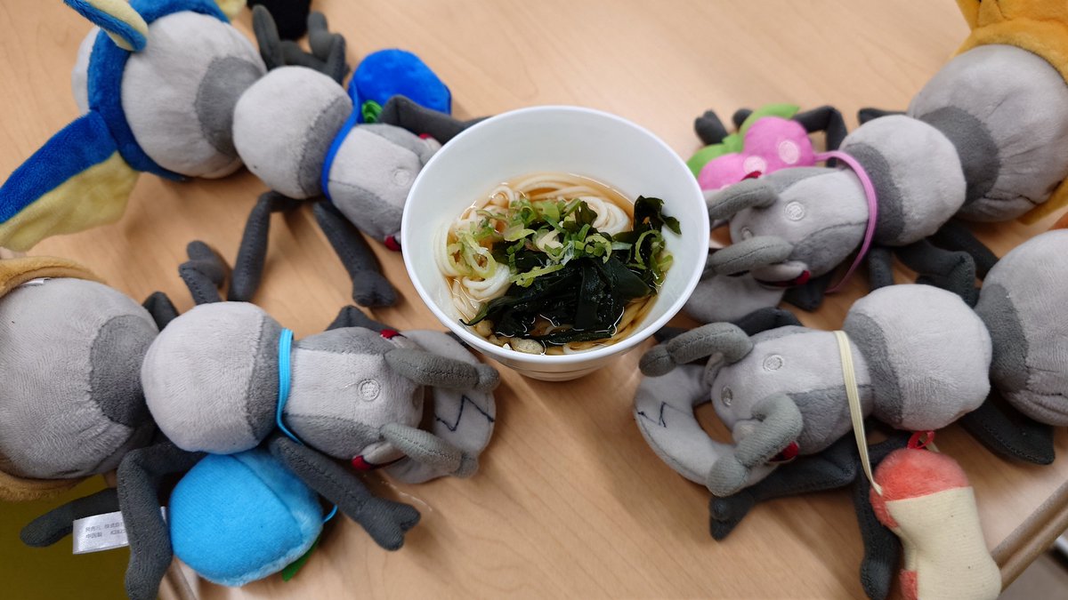 Scarl941's tweet photo. 今日は #LPPU のレックウザそうめんに参加してきました!
肝心のレックウザの写真を撮ってないですが、美味しく頂きました!
ポケモントークも沢山出来て楽しかったです!
#LPPUポケぬい https://t.co/zWp6YwDMgc