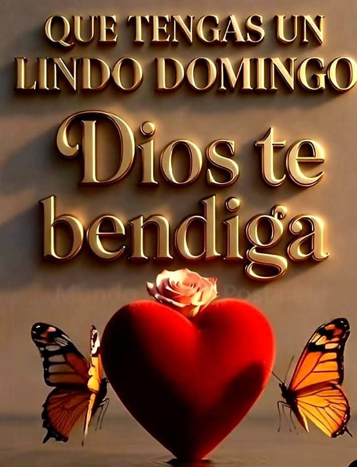 luissayay44's tweet photo. @marlenyAleelayn https://t.co/pvK7JxiRoU