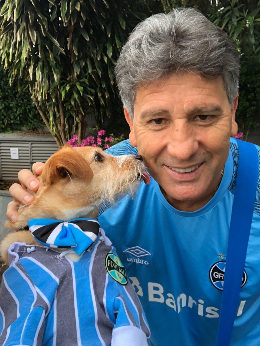 o_toquinho's tweet photo. O nosso Toquinho partiu ✨🧡🐾⭐

Foram 14 anos de amor e histórias. Nosso pequeno gremista conheceu jogadores e torcedores, participou de eventos e passeou de carrinho pela Arena.

Obrigado por todo o carinho que deram a ele. Para sempre, Toquinho. 💙🖤🤍 https://t.co/dUH3TcLClY