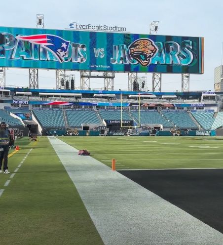 nacionpatriots's tweet photo. Así luce el campo del EverBank Stadium para el juego entre los Patriots y los Jaguars 🌴 https://t.co/XcZxnNn40o