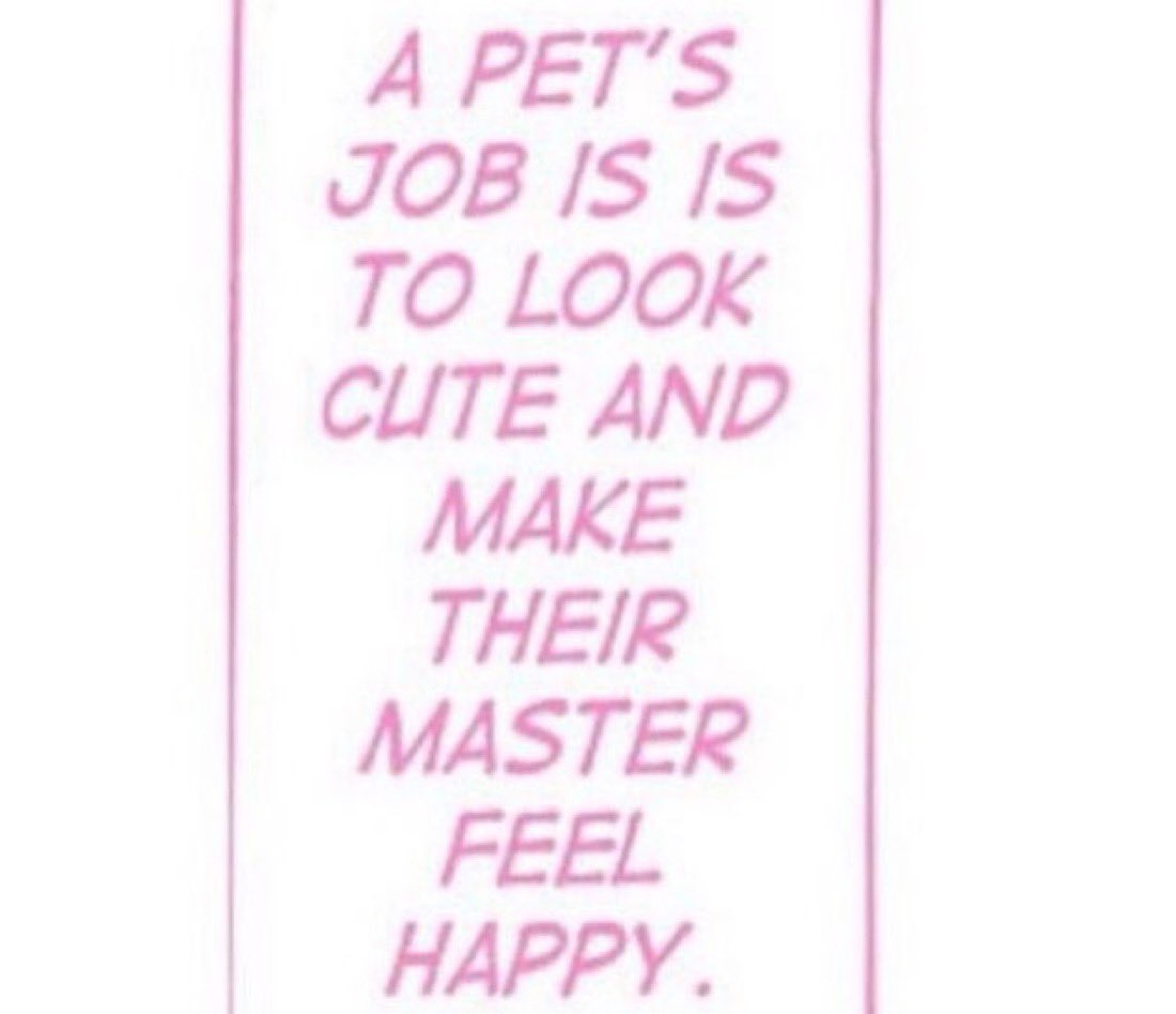 pockycats's tweet photo. https://t.co/5XdfOfESpp