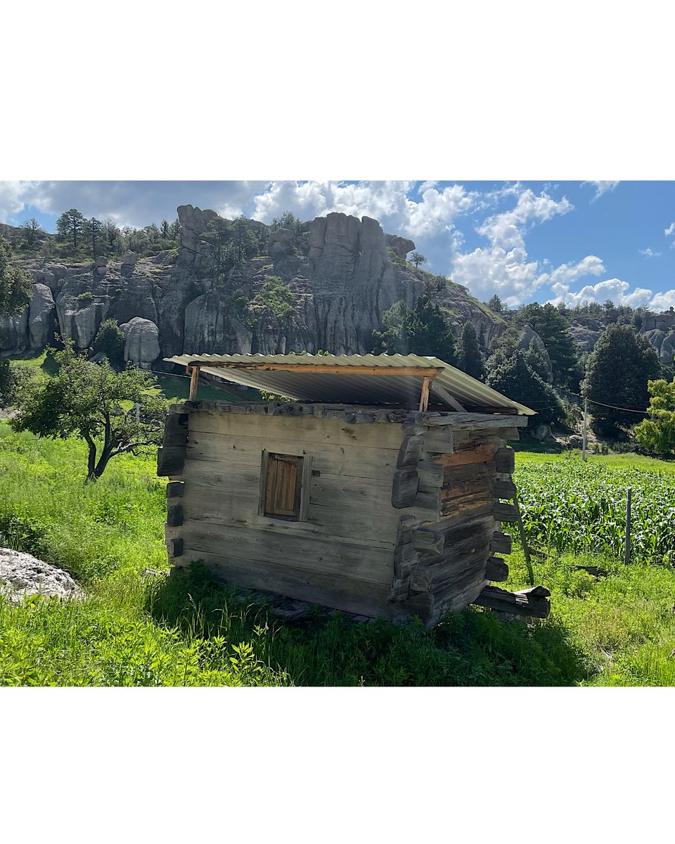 KODAKPIXPRO's tweet photo. Exploring the wild beauty of Sierra Tarahumara ⛰️🌿
.
.
.
.
📸 Photos: IG @karlamoga.f
✨ Shot with KODAK PIXPRO WPZ2
#KODAKPIXPRO #Photography #DigitalCamera #PointAndShoot https://t.co/uDFHiLdXt1