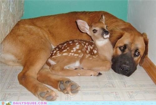 deershouldnt's tweet photo. https://t.co/wHrd5ZFWnv