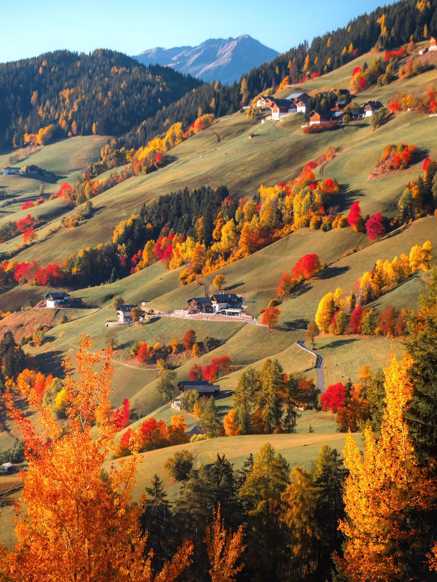 echoesofworld's tweet photo. colorful autumn in alps https://t.co/t9YlVmL9SZ