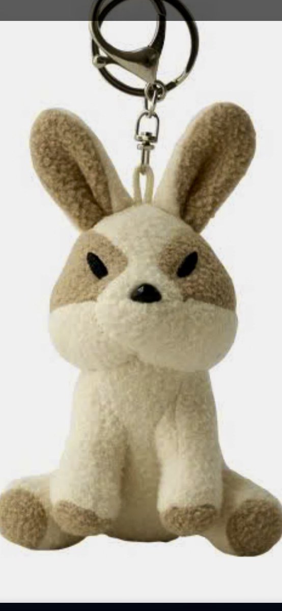 aco_camp's tweet photo. coenの🐰着弾✨
GRAYだったけん買ってみたけど…顔、丸っ❗️
DODのと顔が違いすぎる😭 https://t.co/vOpOjZ97kr