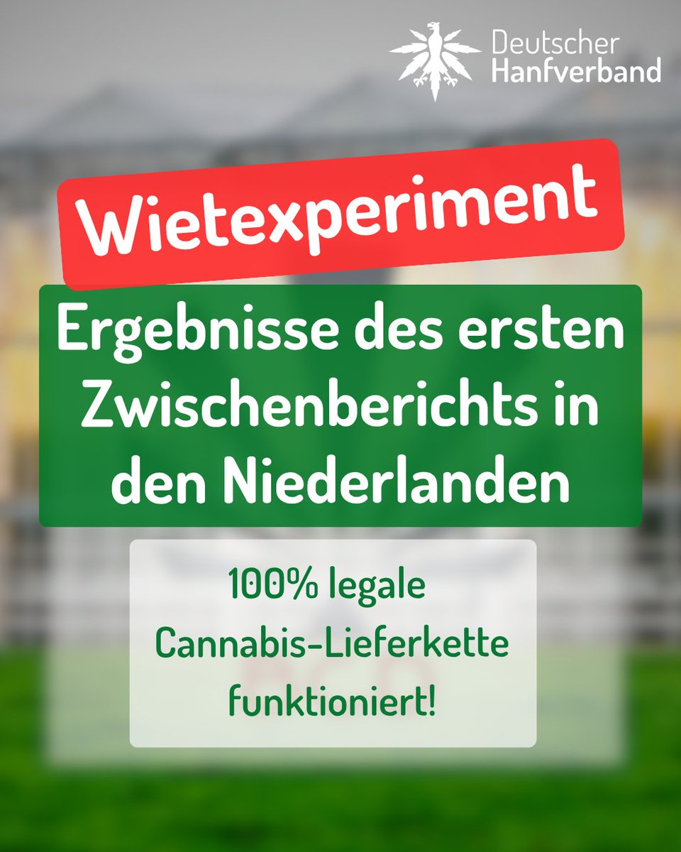 hanfverband's tweet photo. Der erste Zwischenbericht zum "Wietexperiment" in den Niederlanden ist da! Die 100% legale Lieferkette funktioniert in der Praxis gut! Der Konsum ist nicht gestiegen, negative Folgen bleiben aus. Auch ein wichtiges Signal für Deutschland! https://t.co/pN510WrVgW https://t.co/su9iIRSrgN