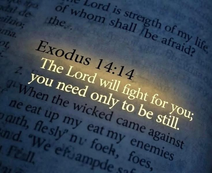 Oh_DearLord_'s tweet photo. God Over Everything https://t.co/g8ruo7tckf