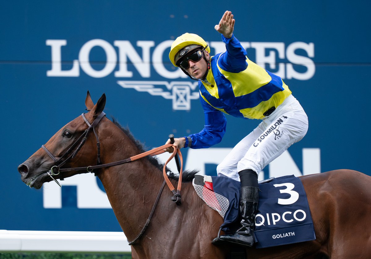 RacingPost's tweet photo. GOLIATH wins the Group 1 64th Preis von Europa at Cologne 🎉 https://t.co/ARr3SBE0T3