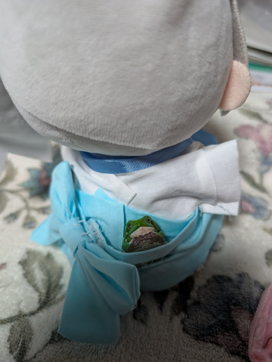 ROUTE_432's tweet photo. お次は後ろのリボン。カエルが入り込めるくらいユルユル…これをどうにかする。
そもそもスカートとリボンは一体化しておらず、いわばベルトの役目を果たしている。なのでより締められるようにすればいいのだが…
莉華「カエル入れないでくださいよ〜💦 https://t.co/LLgYRyz2Tb