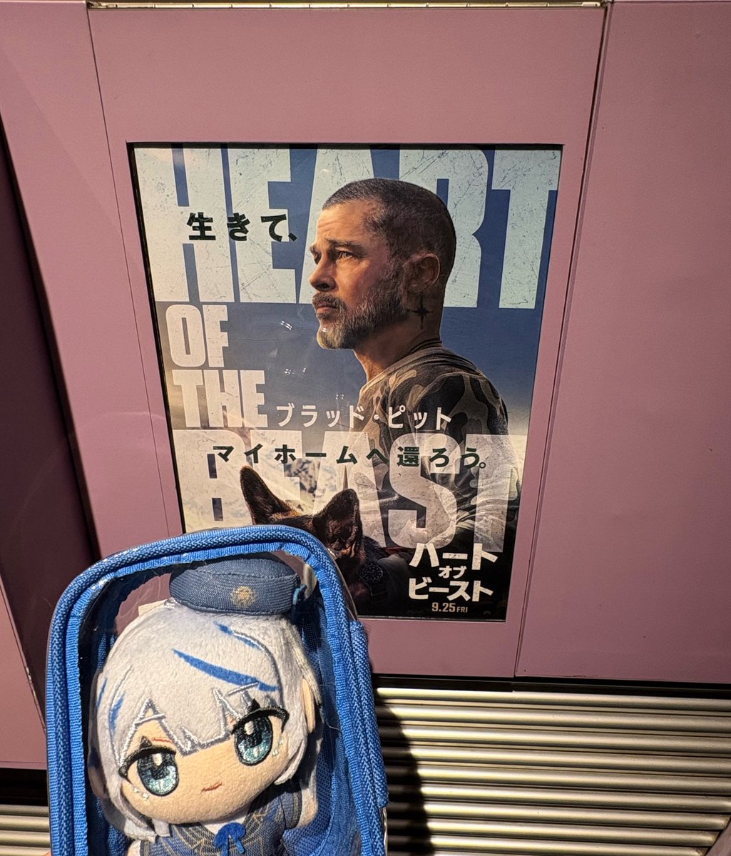perochandane's tweet photo. #見ていルカ 
ルカさん今日も一日お疲れ様でした💙
今日は気になってた映画に行ってきた（*´｀*）
めちゃいい作品で感動したし、ルカさんも好きそうな内容だと思ったのでおすすめです！

調子はどうかな？
動きが無い感じ完治はしてないのかな。。
体調だけでなくメンタル面も崩しちゃってないか心配だけど、ルカさんが早く元気になれるように祈ってます(*´˘`*)

ルカさんだいだいだいすき🫶💙
暖かくして寝るんだよ
おやすみなさい🐶💙