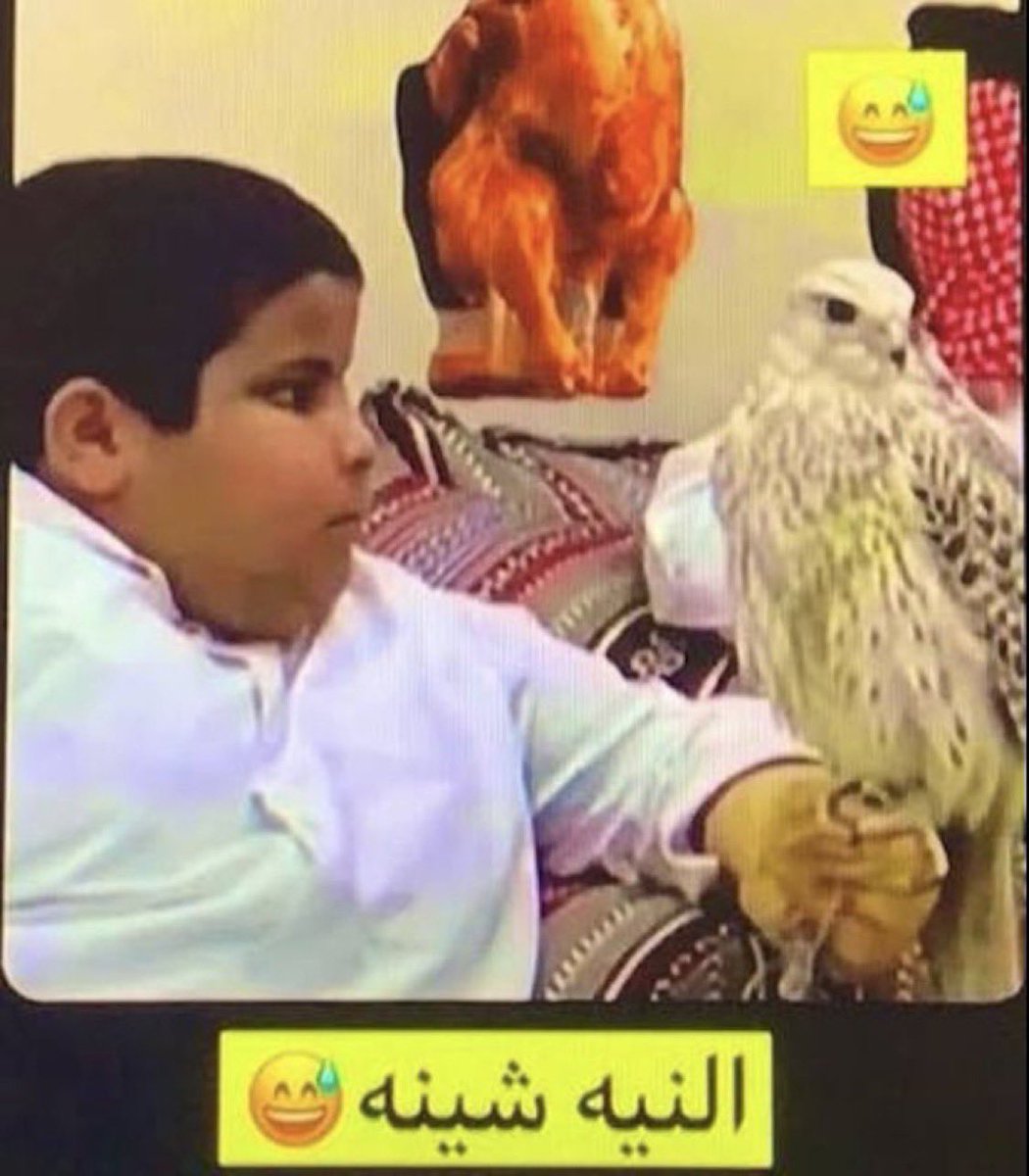 F_O9Il's tweet photo. ولا كلف على نفسه يغير شيء https://t.co/ikdst365Vf