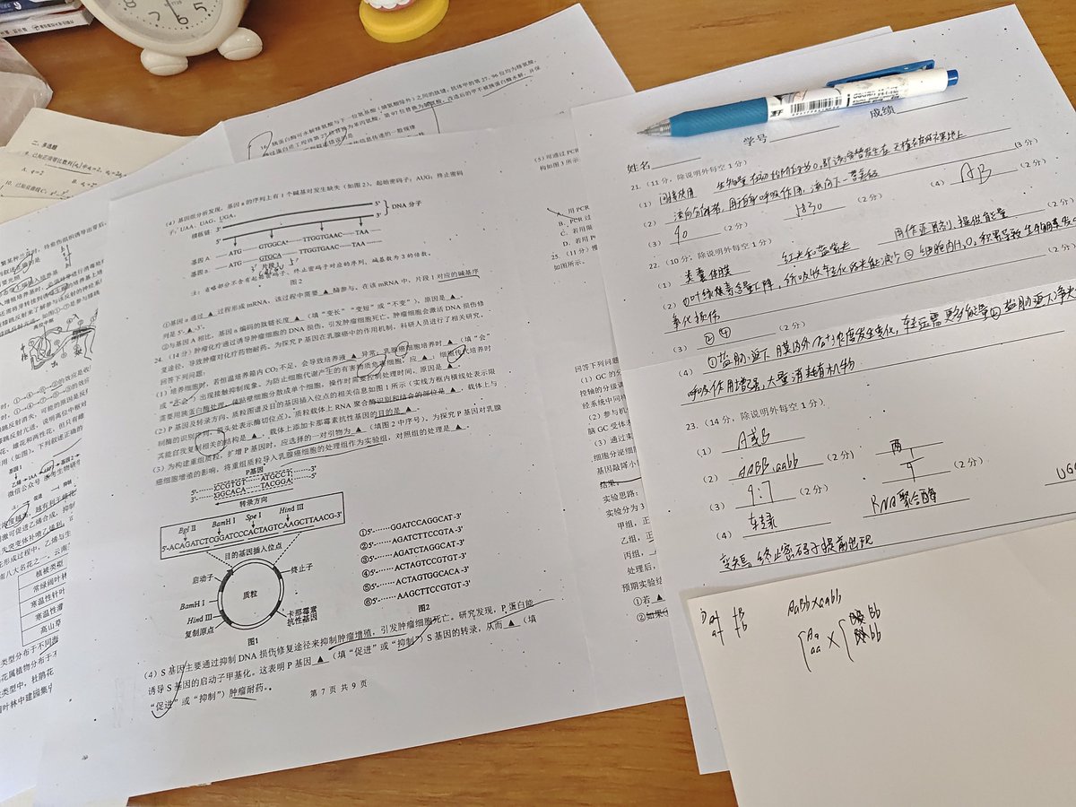 busanzanying's tweet photo. 高中生物，数学，历史（世界史）
学无止境勇闯高三😊
（こうこうのせいぶつ・すうがく・せかいし） https://t.co/rEuz2Q22Tn