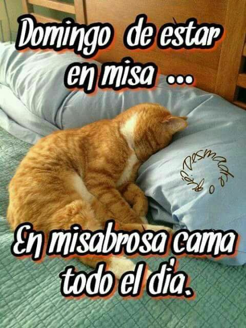 soybambinaa's tweet photo. buenos diass!! https://t.co/Enu1K81Tyd