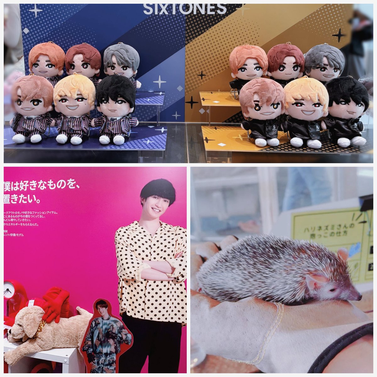 skn_02's tweet photo. 今日の思い出
ﾌｧﾐｸﾗで散財しIKEAｼﾞｪｽ🐶を観測し🦔と戯れ小籠包を食べすみだ水族館でずんだピーチを探し願掛けパフェを食べる https://t.co/PA7idUt5lB