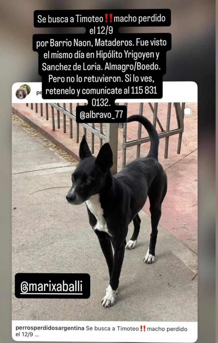 patripeyrou's tweet photo. Rt
Recompensa https://t.co/rULYI0cq0F
