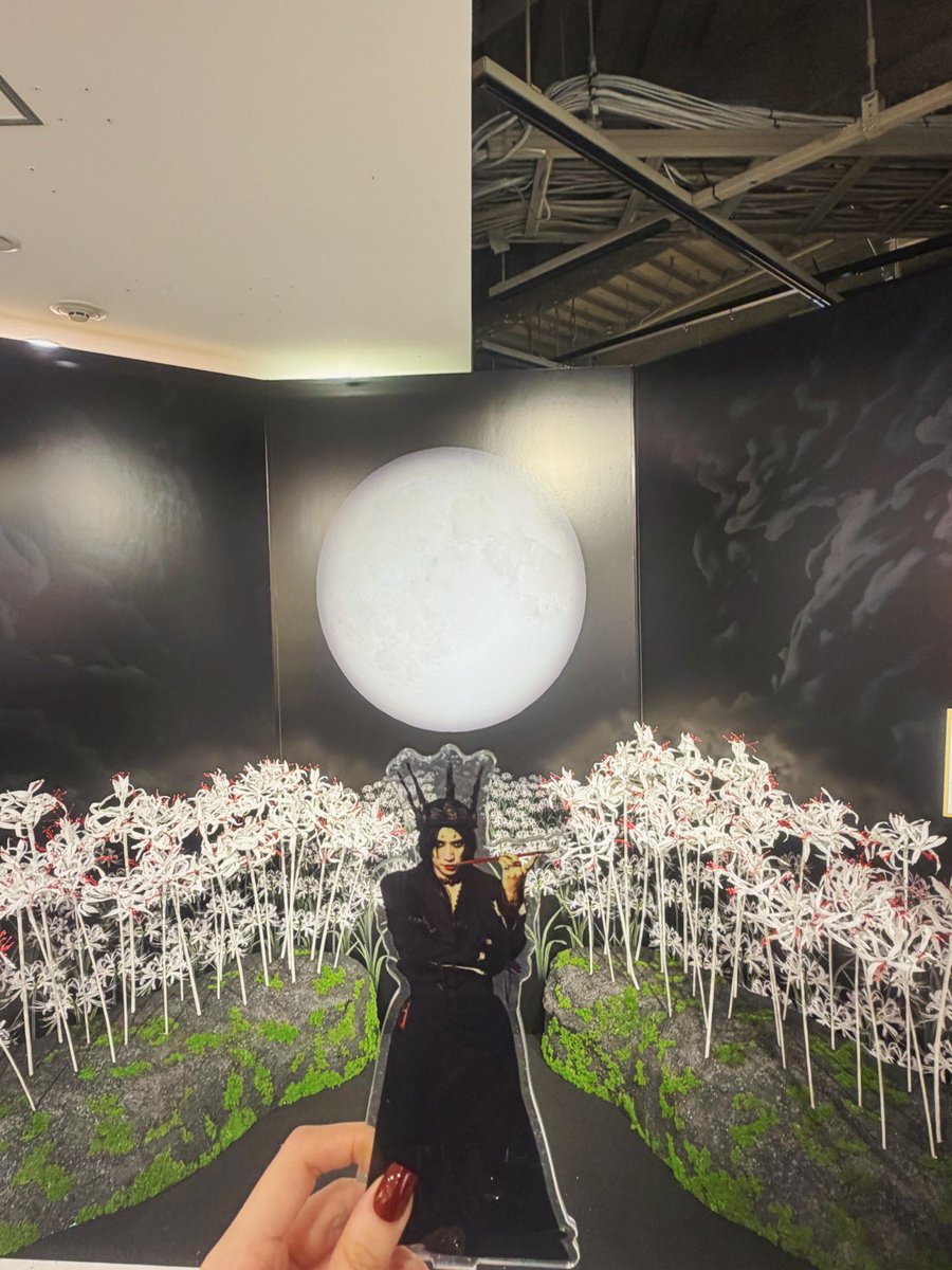 ooooooori1's tweet photo. 昨日の彼岸花と今日の彼岸花でした https://t.co/kAg969VHTU