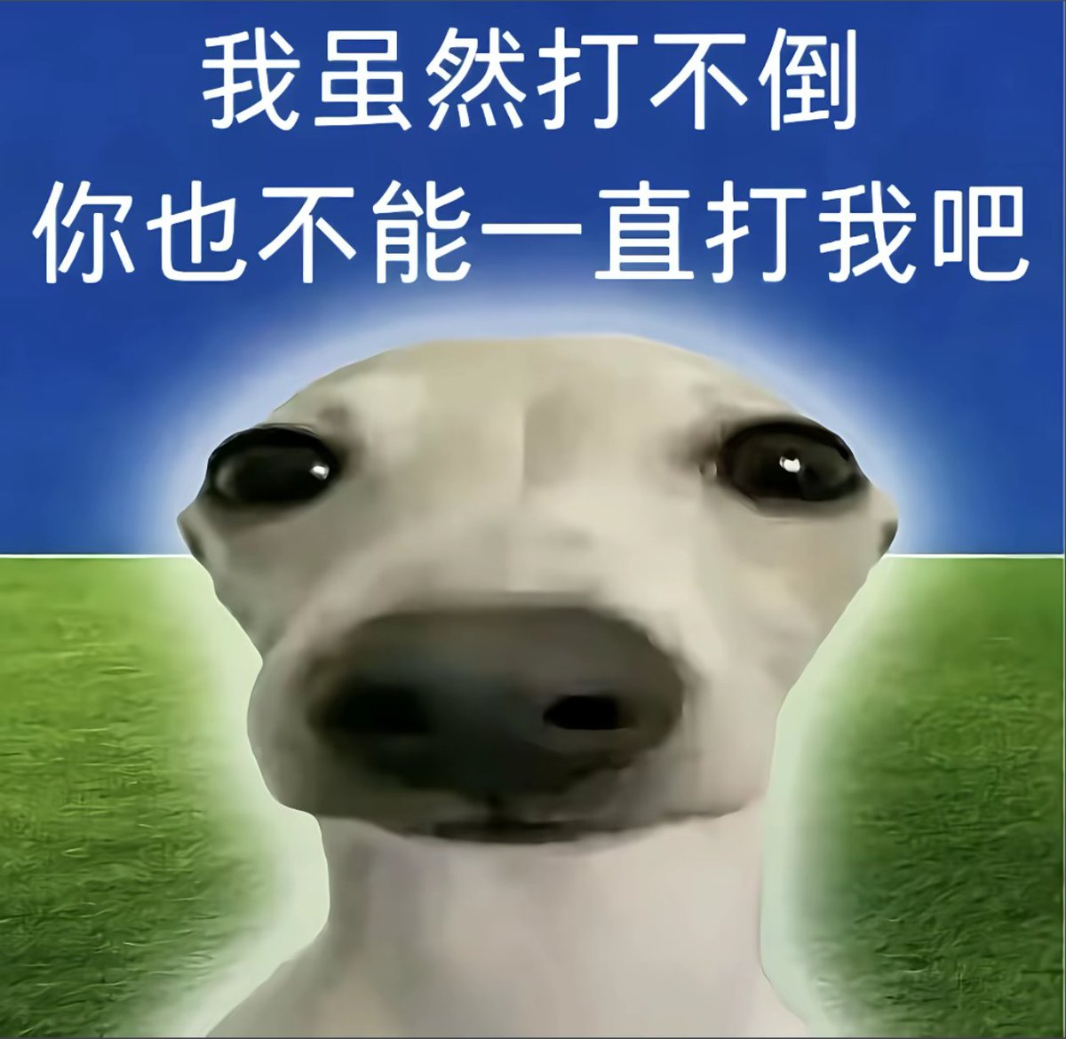 Legend_ovo_'s tweet photo. 游戏玩腻了给我干出虚无主义了😰 https://t.co/kxWLFbs7Xy
