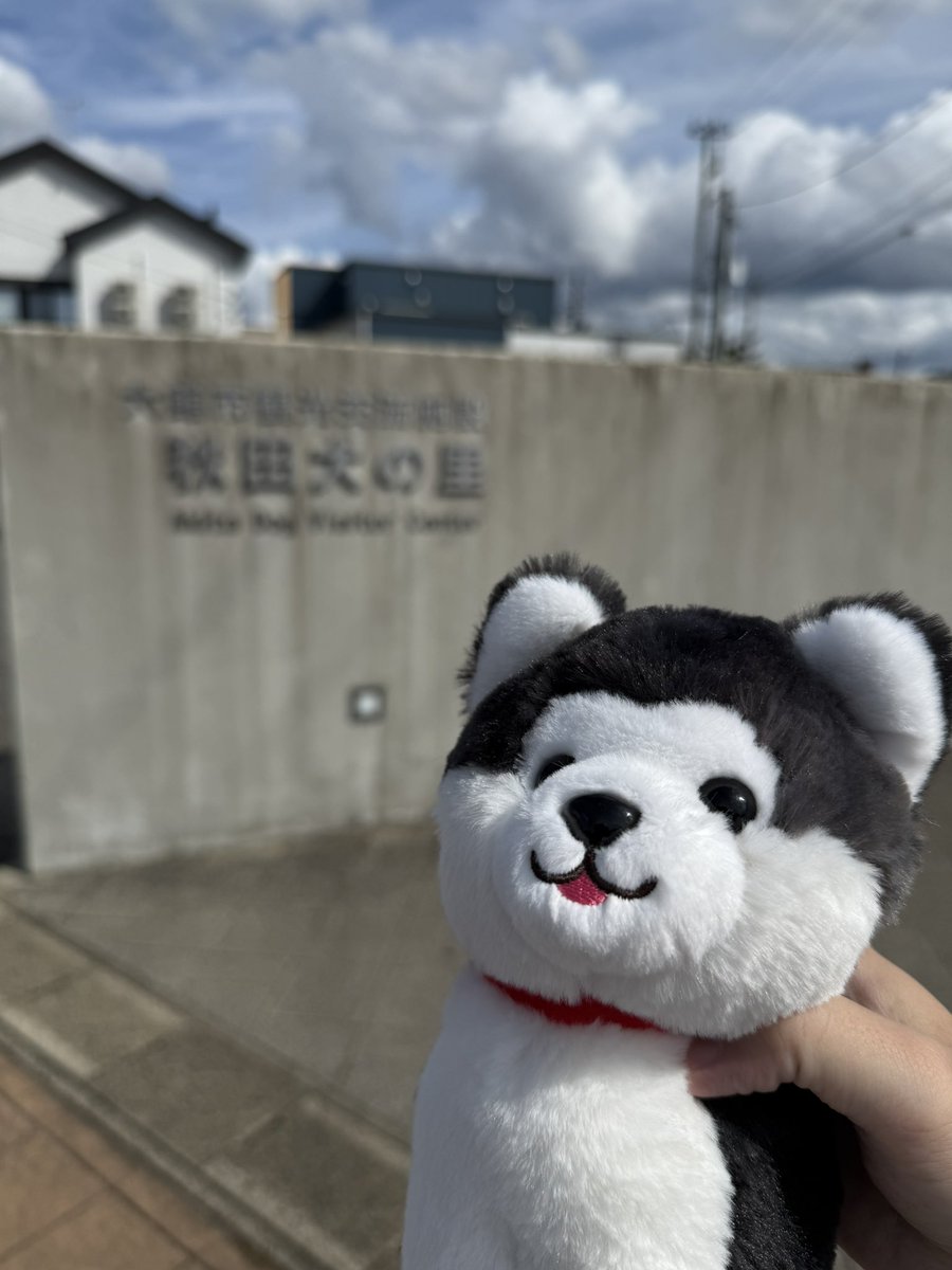 w_indingash's tweet photo. ようやく家に帰ってきた
急に決めた3日間の秋田旅楽しかった！
最終日は秋田犬見て、白神山地の自然を感じてきた。 https://t.co/tbFNqNAVUY