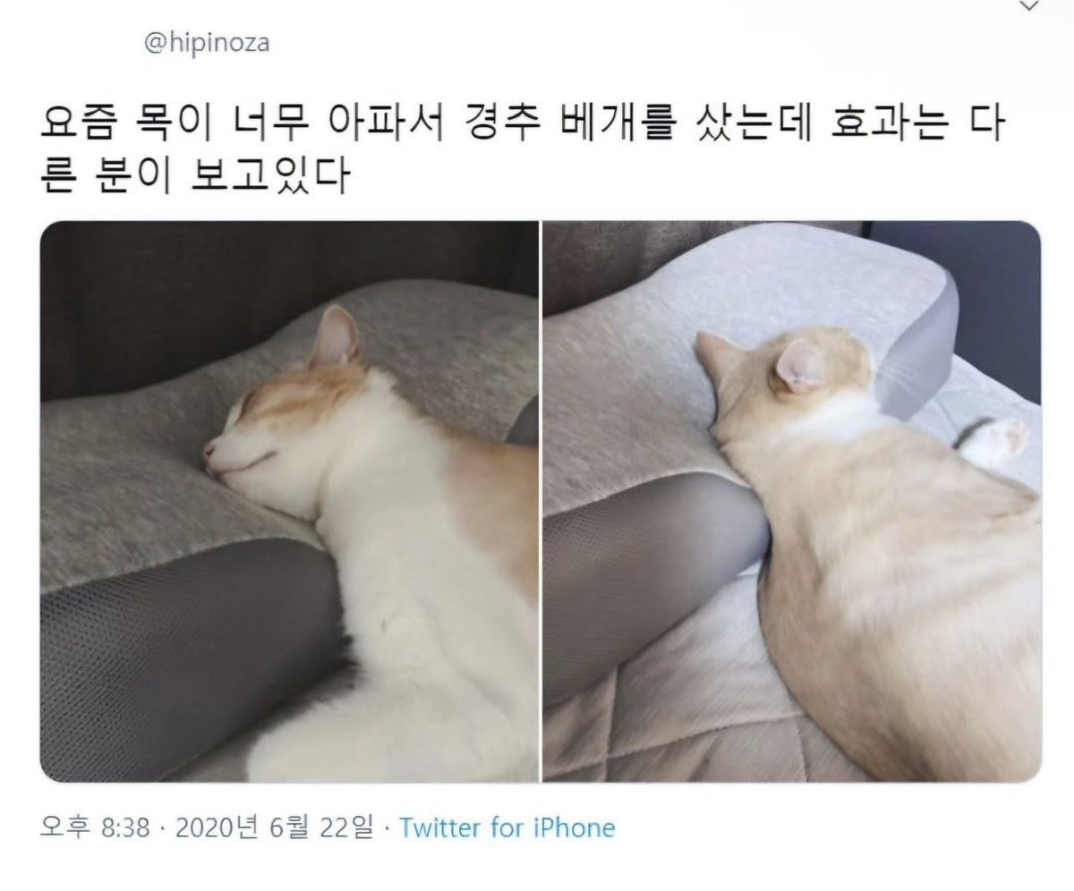 shellwespeed's tweet photo. https://t.co/Urk37awwPD