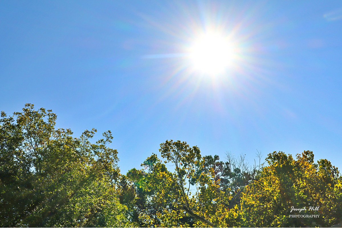 JosephHill3794's tweet photo. Sunrise☀️🌳
#September2026
Photo By: Joseph Hill🙂📸☀️
#sunrise #bright #morning #bluesky #daylight #sunlight #nature #trees #beautiful #peaceful #sunrisephotography #NaturePhotography #SouthernPinesNC #September https://t.co/iFoLsx26AC