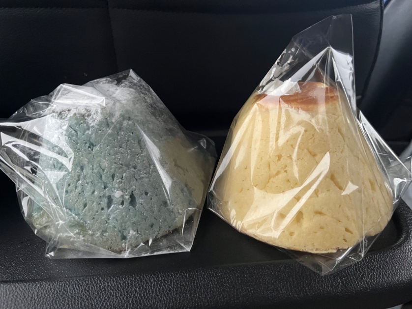 kuisuke's tweet photo. 沼津だん。

沼津、面白い土地だった…あんな多彩な街だったとは！めっちゃ良かった。今後、半年に一回位行くので、ますます楽しみ！

なにより、富士山をちゃんと見たい！！！
千本松原も行きたい！

写真は伊豆・三津シーパラダイスから見えた淡島越し富士山と足柄PAで買った富士山メロンパン！ https://t.co/w30zOONrJF
