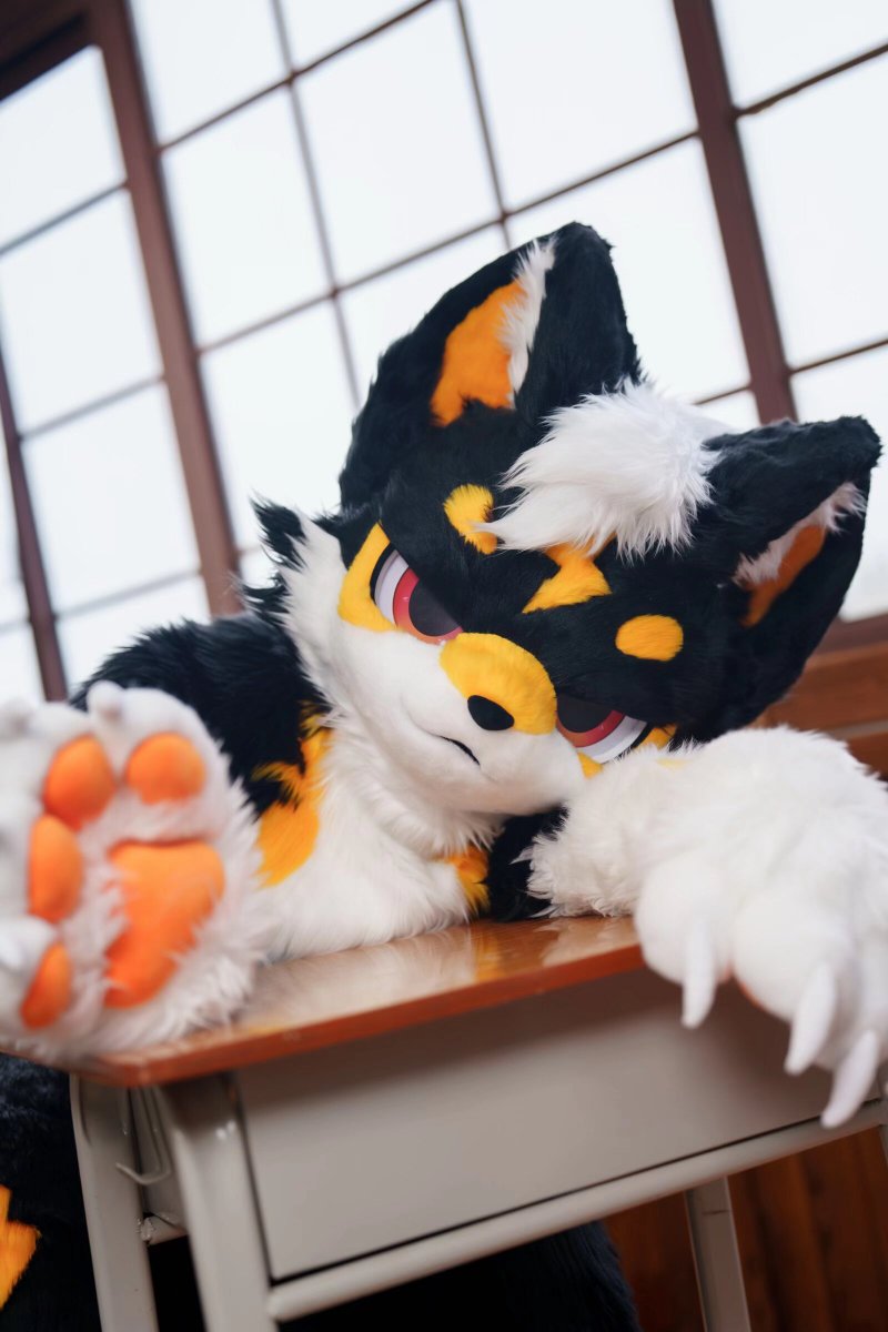 ALKAID_FUR's tweet photo. 【✨ALKAID·全装展示·MAX】

今天上的课没有听懂的话…，那就放学留下来私下辅导吧～

委托：@Leiyataotao
📷：朔光

#fursuit #furry #爻光星Alkaid https://t.co/NNYTgETgUt