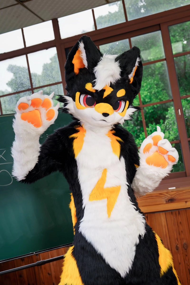 ALKAID_FUR's tweet photo. 【✨ALKAID·全装展示·MAX】

今天上的课没有听懂的话…，那就放学留下来私下辅导吧～

委托：@Leiyataotao
📷：朔光

#fursuit #furry #爻光星Alkaid https://t.co/NNYTgETgUt