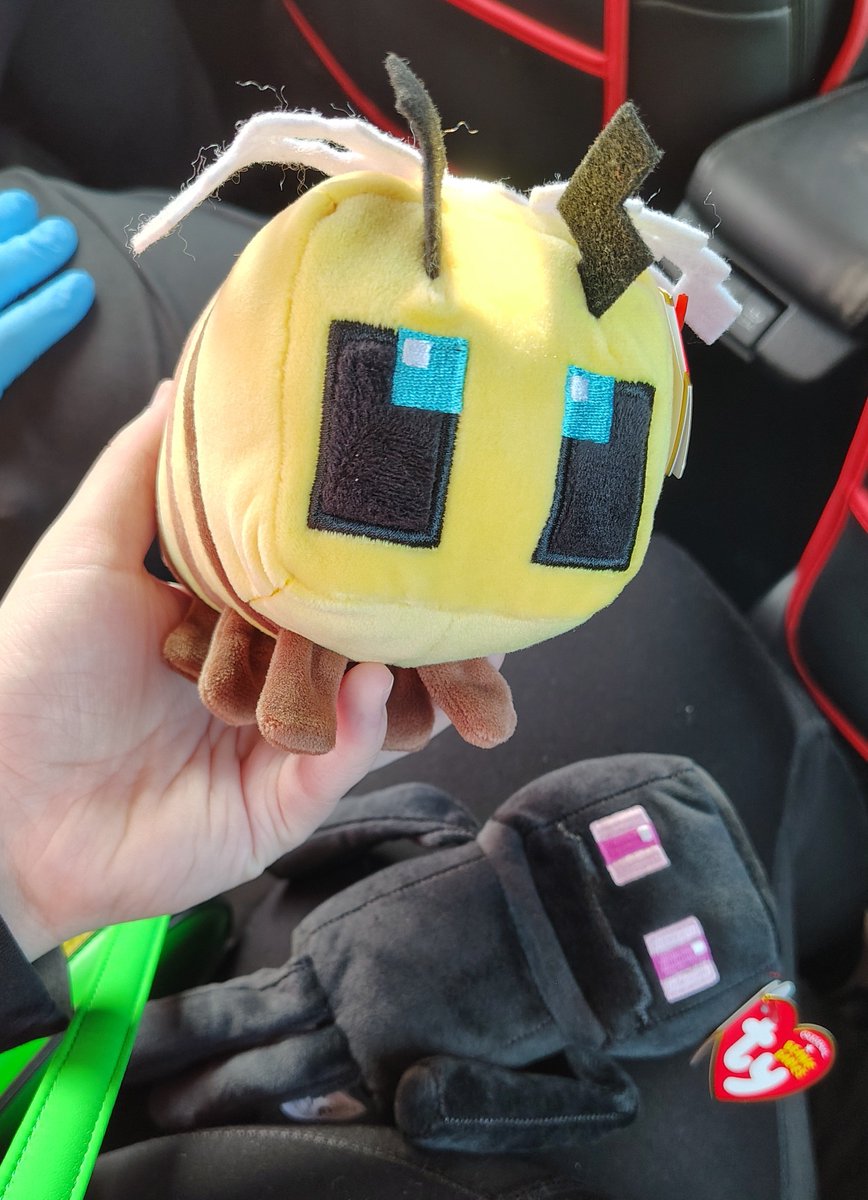 theBugBin's tweet photo. Enderman and bee I got from a gas station today... I am not immune to consumerism https://t.co/McFAkpACAR