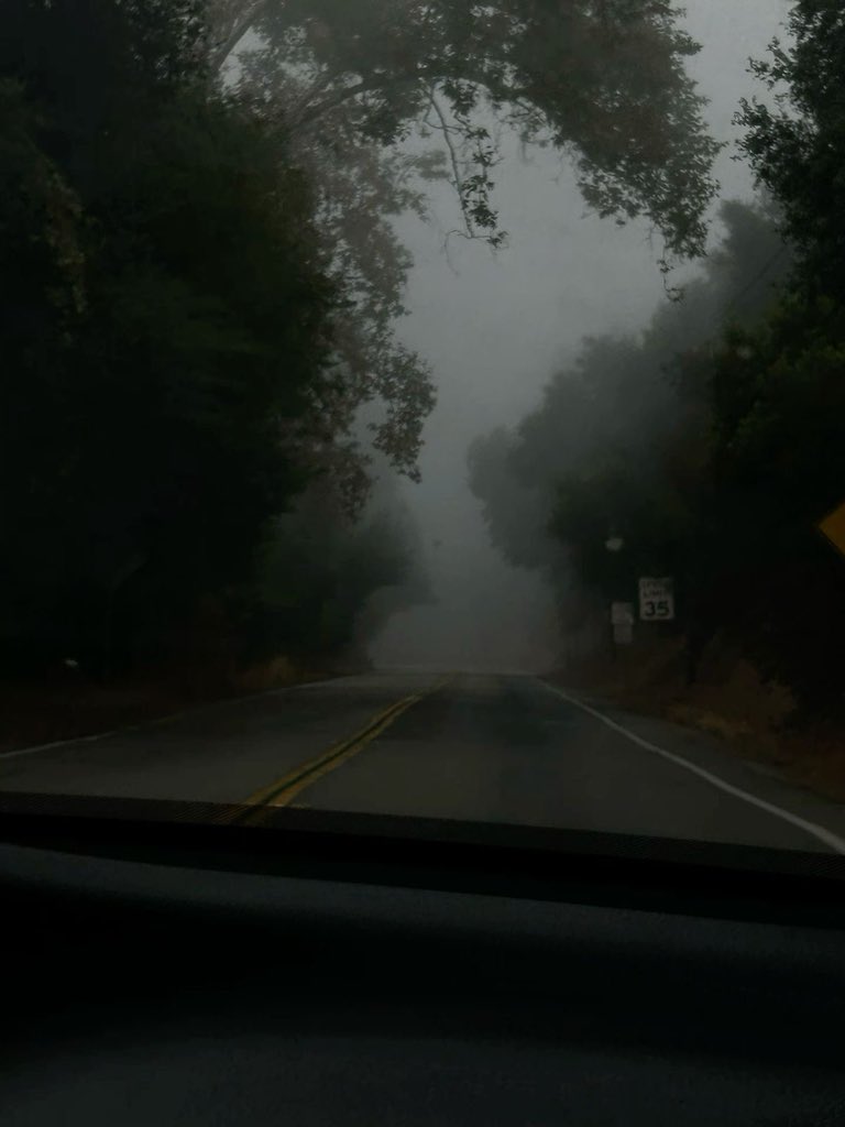 gloomyvisuaIs's tweet photo. gloomy road. https://t.co/DtobvSFN0J