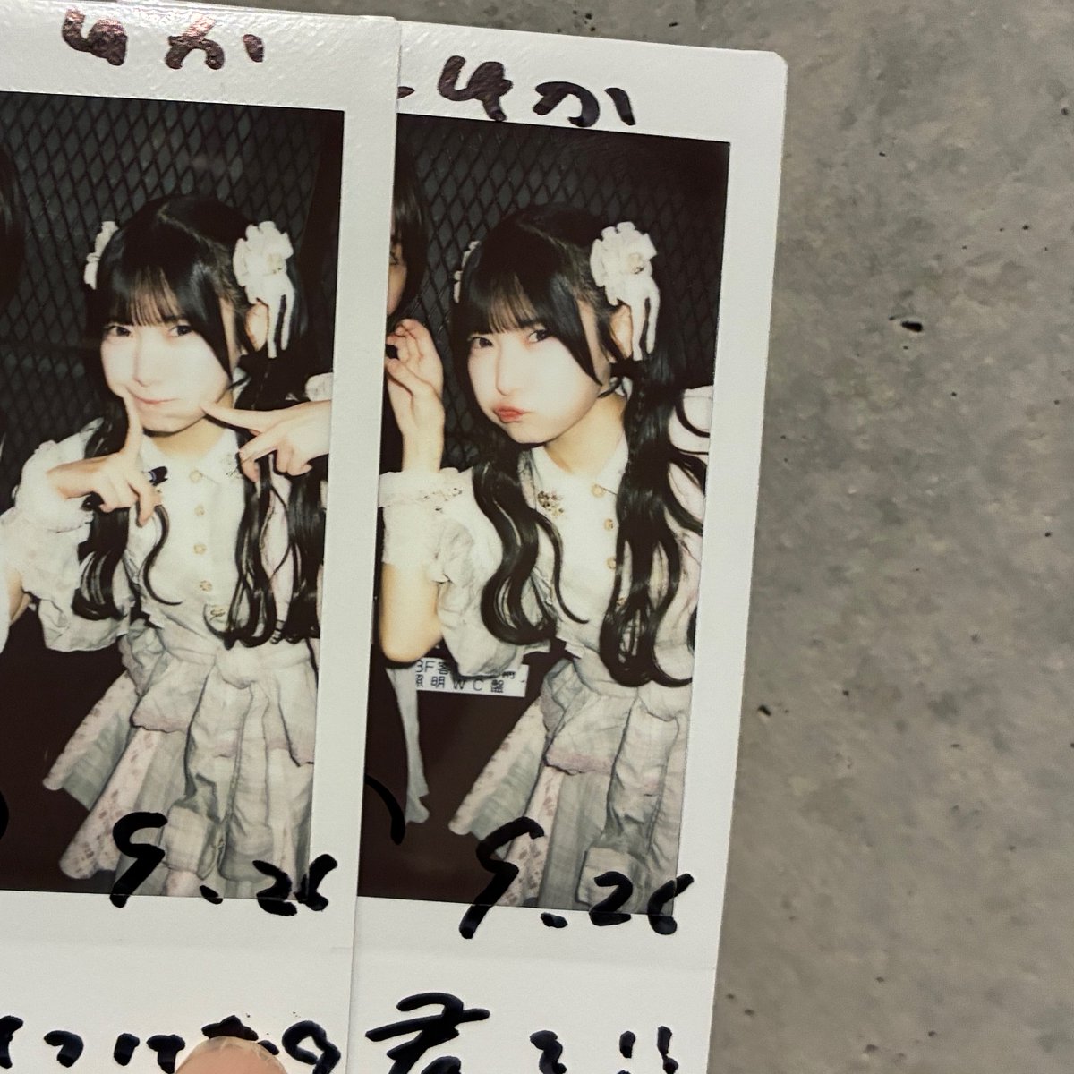 mm_que8's tweet photo. 🐶#芹沢心色 https://t.co/hED7p6IXig