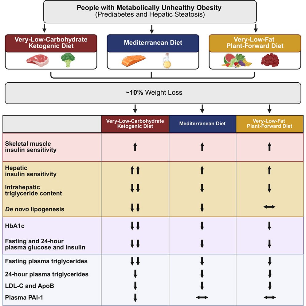 agingdoc1's tweet photo. Effect of diet macronutrient content on the cardiometabolic response to weight loss: A randomized clinical trial

"These results demonstrate that a very-low-carbohydrate diet has greater cardiometabolic benefits, particularly in hepatic metabolic function, than matched 10% weight loss induced by a Mediterranean or very-low-fat diet in people with metabolically unhealthy obesity."

https://t.co/GiplgX5zG5