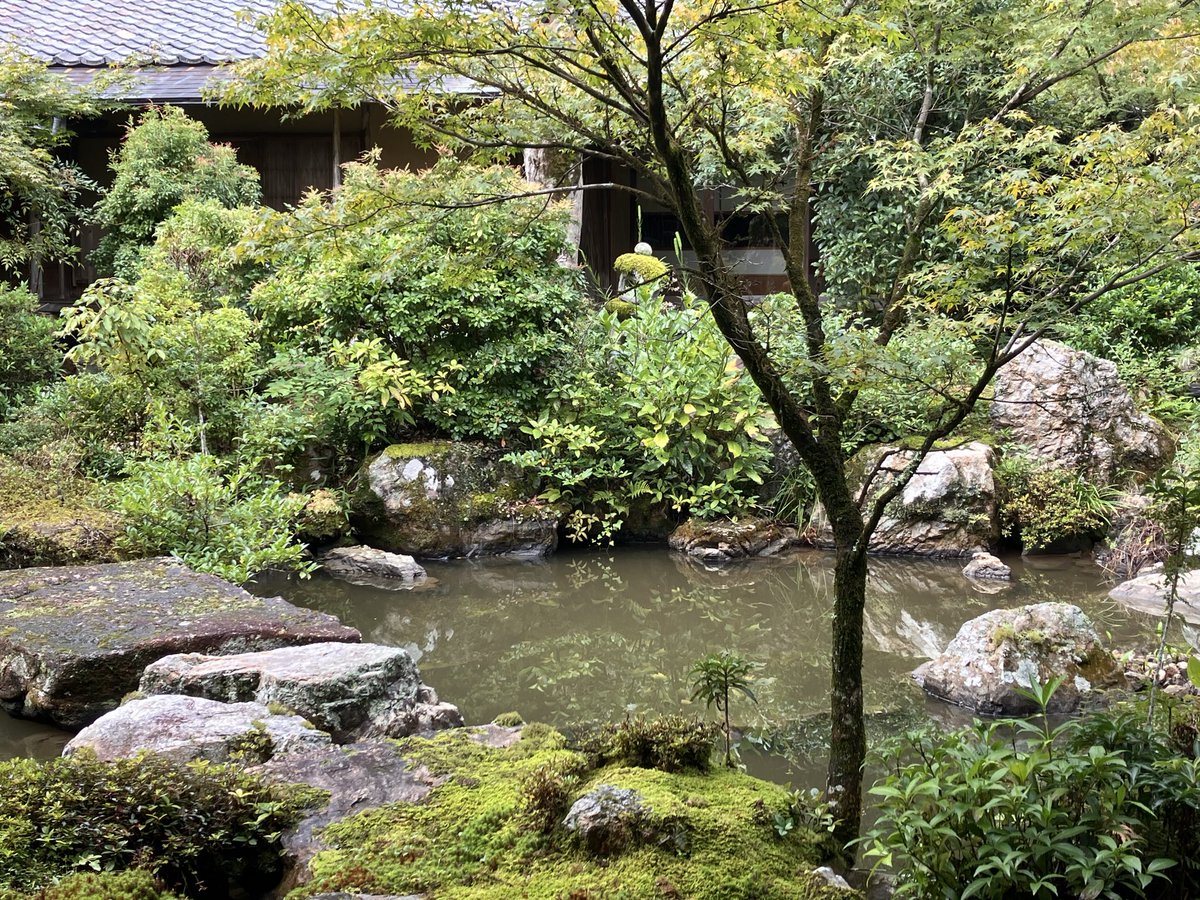 YASU678's tweet photo. 岩倉実相院
#実相院　#岩倉　#京都　#観光スポット https://t.co/S7eb1E98Nk
